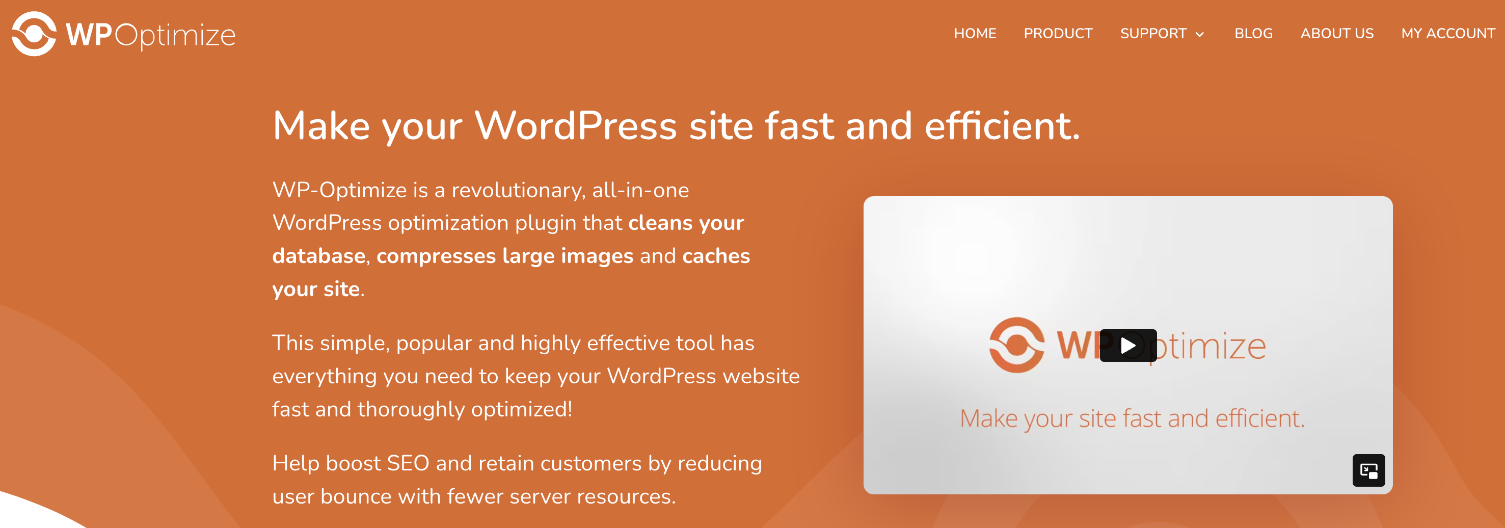 Make your WordPress site fast and efficient